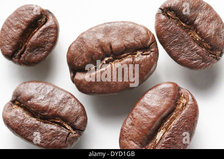 Kaffeebohnen, Nahaufnahme. Stockfoto