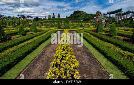 Nong Nuch Tropical Garden Stockfoto