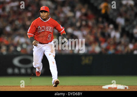 Anaheim, CA. 14. April 2014. Los Angeles Angels Shortstop Erick Aybar #2 während der Major League Baseball Spiel zwischen den Oakland Athletics und den Los Angeles Angels im Anaheim Stadium in Anaheim, California.Louis Lopez/CSM/Alamy Live News Stockfoto