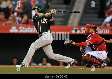 Anaheim, CA. 14. April 2014. Oakland Athletics Shortstop Jed Lowrie #8 at bat während der Major League Baseball Spiel zwischen den Oakland Athletics und den Los Angeles Angels im Anaheim Stadium in Anaheim, California.Louis Lopez/CSM/Alamy Live News Stockfoto