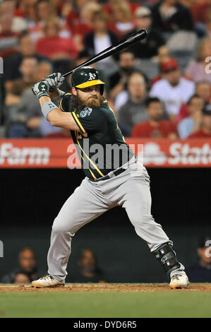 Anaheim, CA. 14. April 2014. Oakland Athletics Catcher Derek Norris #36 at bat während der Major League Baseball Spiel zwischen den Oakland Athletics und den Los Angeles Angels im Anaheim Stadium in Anaheim, California.Louis Lopez/CSM/Alamy Live News Stockfoto