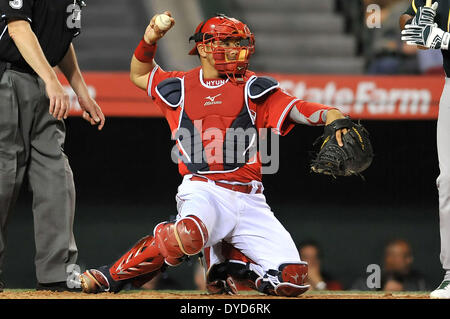 Anaheim, CA. 14. April 2014. Los Angeles Angels Catcher Hank Conger #16 während der Major League Baseball Spiel zwischen den Oakland Athletics und den Los Angeles Angels im Anaheim Stadium in Anaheim, California.Louis Lopez/CSM/Alamy Live News Stockfoto