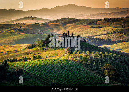 Am frühen Morgen in Val d ' Orcia, Toskana - ein schönes Bauernhaus, umgeben von Zypressen und goldenen Hügeln, Italien Stockfoto