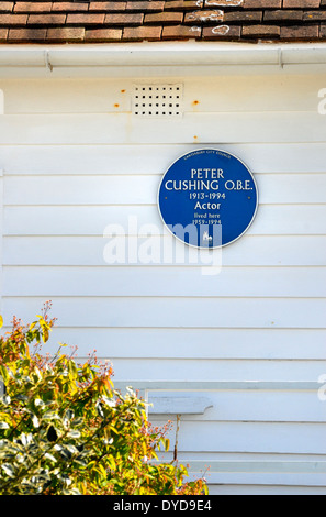Whitstable, Kent, England, Großbritannien. Blaue Plakette auf dem ehemaligen Haus von Peter Cushing (1913-1994; Schauspieler) Seaway Cottage Stockfoto