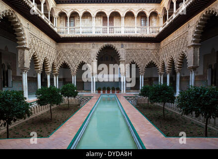 Innenhof der Jungfrauen, Patio de Las Huasaco, Alcázar von Sevilla, Provinz Sevilla, Andalusien, Spanien Stockfoto