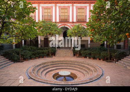 Bitter oder Sevilla Orange Bäume (Citrus X aurantium) im Hof des Hospital de Los Venerables Sacerdotes Stockfoto