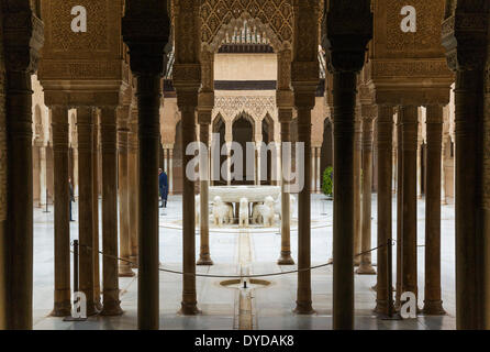 Hof der Löwen, Patio de Los Leones, Alhambra Palast, Granada, Provinz Granada, Andalusien, Spanien Stockfoto