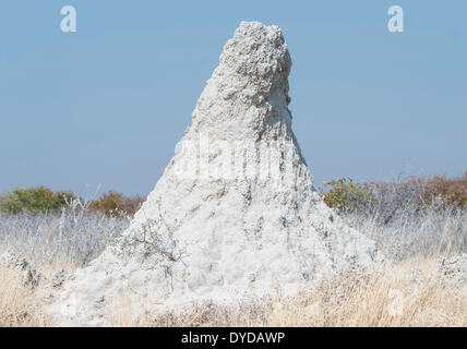 Termite Hügel am Rande der Etosha Pan, Etosha Nationalpark, Namibia Stockfoto