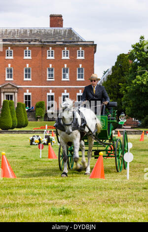 Fahrsport im Catton Park. Stockfoto