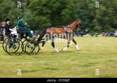 Fahrsport im Catton Park. Stockfoto