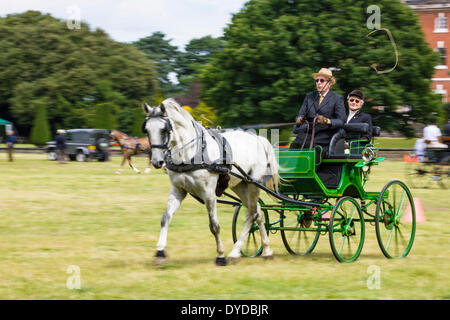 Fahrsport im Catton Park. Stockfoto