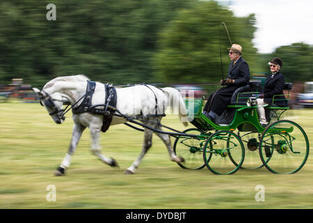 Fahrsport im Catton Park. Stockfoto