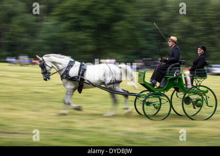 Fahrsport im Catton Park. Stockfoto