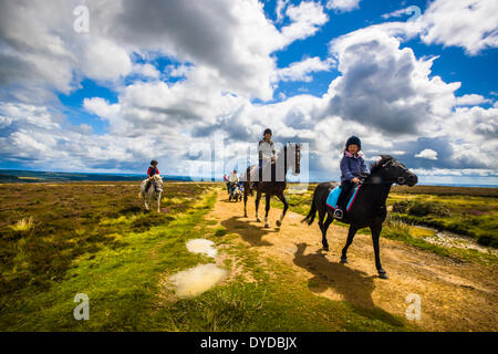 Reiter und Wanderer auf einer Strecke über den North York Moors. Stockfoto