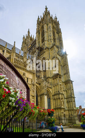 Beverly Minster ist eines der größten Pfarrkirchen im Vereinigten Königreich. Stockfoto