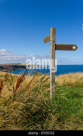 Wegweiser für die Cleveland-Art an der Küste von Yorkshire in der Nähe von Whitby. Stockfoto