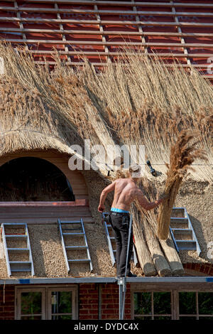 Handwerker arbeiten an einem traditionellen Reed Strohdach. Stockfoto
