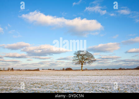 Winterlichen Bedingungen in der Nähe von Zielrechner in Norfolk. Stockfoto