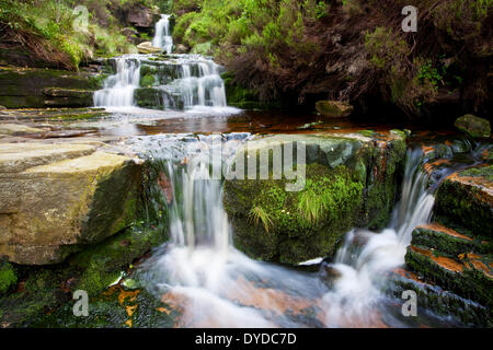 Black Clough Falls laufen weg von Bleaklow in der Peak District National Park. Stockfoto