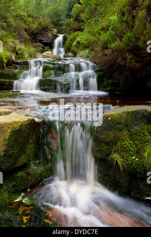 Black Clough Falls laufen weg von Bleaklow in der Peak District National Park. Stockfoto