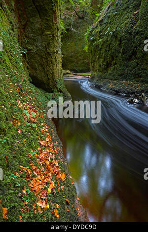 Die Devils Kanzel Schlucht in Finnich Glen. Stockfoto