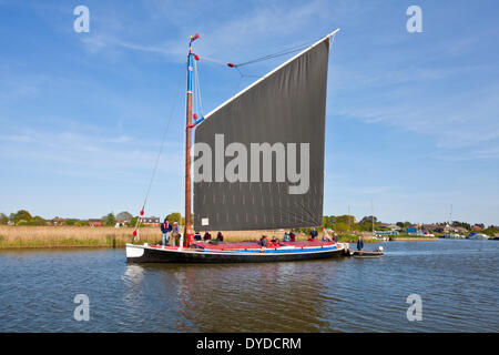 Die Wherry Albion Segeln auf dem Fluß Thurne in den Norfolk Broads. Stockfoto