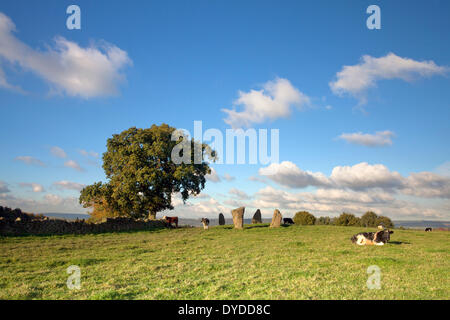 Neun Steinen nahe Stein Kreisen auch bekannt als die grau Damen im Peak District National Park. Stockfoto