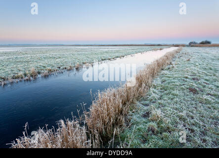 Die entfernten Halvergate Marshes auf den Norfolk Broads. Stockfoto