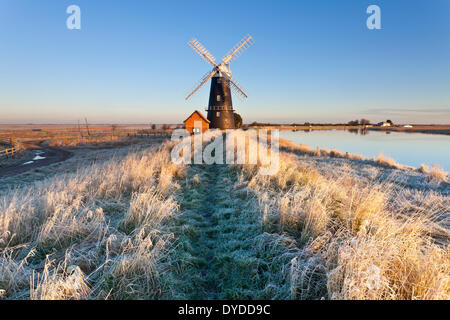 Die entfernten Halvergate Marshes auf den Norfolk Broads. Stockfoto