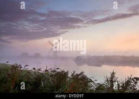 Thurne Mill an einem nebligen Nachmittag auf den Norfolk Broads. Stockfoto