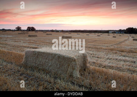 Sonnenuntergang über Ackerland im Dorf Martham. Stockfoto