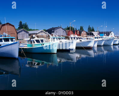 Angelboote/Fischerboote am Malpeque Hafen. Stockfoto