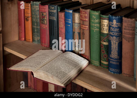 Vintage Hardcover Bücher auf einem hölzernen Regal. Stockfoto