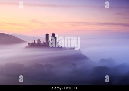 Corfe Castle in Dorset an einem nebligen Morgen. Stockfoto