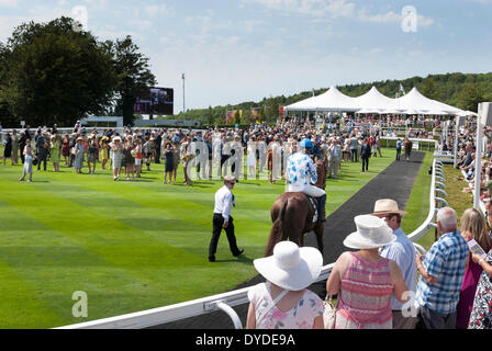 Besitzer und Pferde in den Parade-Ring von Goodwood Racecourse. Stockfoto