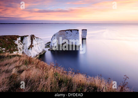 Sonnenaufgang über Old Harry Rocks in Dorset. Stockfoto