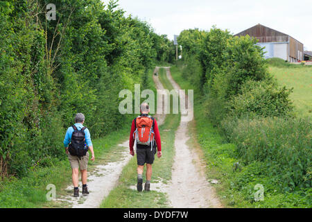 Späten Mittleren Alter Mann und Frau Wanderer in kurzen Hosen auf Land Feldweg mit Rucksäcken. Stockfoto