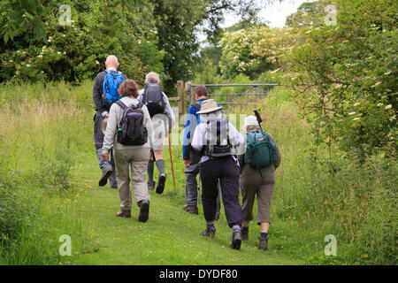 Gruppe von sechs späten Mittleren Alter Wanderer mit Tag Rucksäcken auf Feldweg in Richtung Tor. Stockfoto