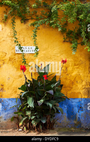 Eine verwitterte Wand in einem abgelegenen Teil des ländlichen Portugal. Stockfoto