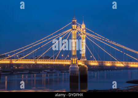 Eine Ansicht der Albert Bridge in der Nacht. Stockfoto