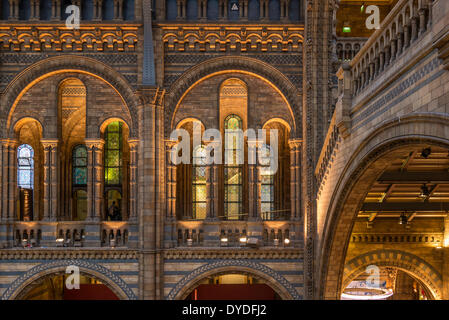 Innere des Natural History Museum in London. Stockfoto