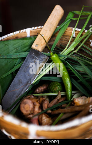 Produkte aus dem Garten an der Thai Farm Cooking School in Chiang Mai. Stockfoto