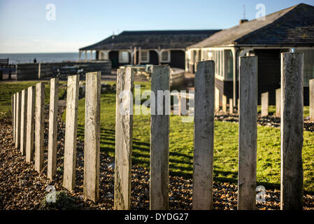 Die Gärten am Birling Gap in den Severn Schwestern Country Park. Stockfoto