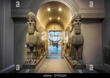 Ägyptologie im British Museum. Stockfoto