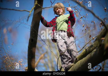 Sieben Jahre alter Junge einen Kletterbaum. Stockfoto