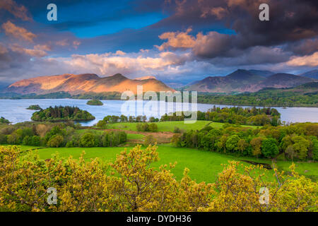 Blick aus Castlehead-Holz-Sicht in der Nähe von Castlerigg Dorf über Derwentwater in Richtung Derwent Fells in den Lake District-Nat Stockfoto