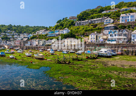 Angelboote/Fischerboote und Segelyachten vor Anker im Hafen von Looe bei Ebbe. Stockfoto