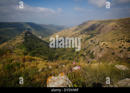 Naturschutzgebiet Gamla, Golanhöhen, Israel.
