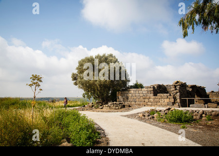 Ruinen der antiken Stadt Gamla, Gamla Naturschutzgebiet, Golanhöhen, Israel.