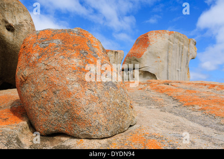 Remarkable Rocks auf Kangaroo Island, South Australia, sind beeindruckende Skulpturen aus schwarzem Glimmer, bläulichen Quarz und rosa Feldspat Stockfoto